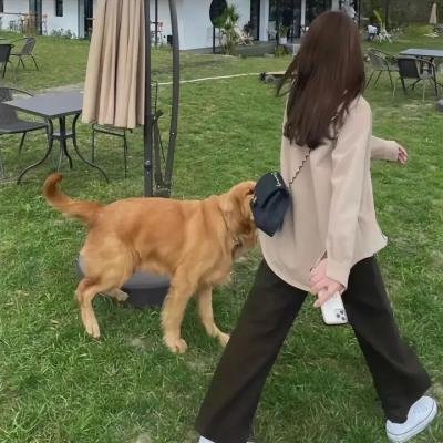 公民哈维尔